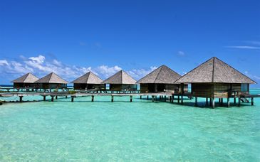 Gangehi Island Resort 4*