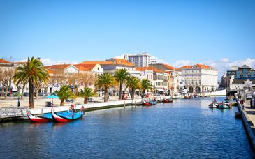 Circuit en liberté : Villes animées du Portugal