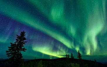 Sheraton Vancouver Guildford 4* et Raven Inn Whitehorse 4*