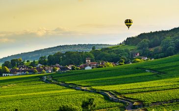 Novotel Beaune 4*