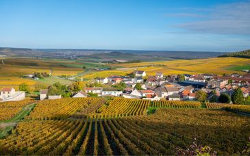 Hostellerie du Mont Aimé