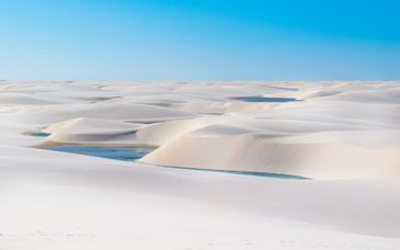 Circuit en liberté : La route des émotions