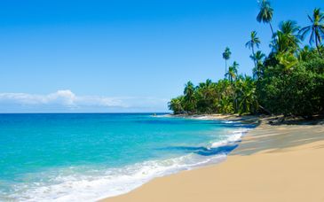 Circuit en liberté : Le Costa Rica sauvage avec extension balnéaire possible