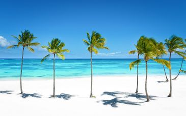 Grand Palladium Punta Cana Resort & Spa 5*