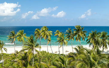 Séjour découverte : Au départ du Carribean Shelter 4*