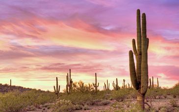 Road-trip en 4* : Hélicoptère, Red Rocks et hôtels d'exception
