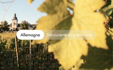 Circuit en liberté en 4* : Aventure au cœur du Rheingau