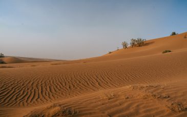 Circuit en groupe 4* : Villes impériales et désert marocain