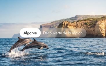 A la découverte de l'Algarve, en 4*