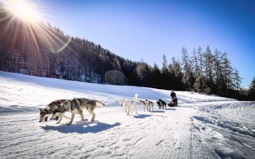 Séjour multi-activités : Immersion en Laponie suédoise