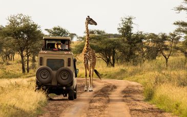 Safari privé : Emblématique Kenya et extension 5* possible aux Seychelles