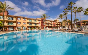 O7 Aloe Corralejo