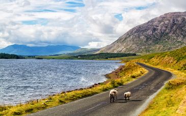 Autotour : Aventure celtique et authentique en liberté
