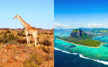 Turaco Lodge 4* et Anelia Resort & Spa Mauritius 4*