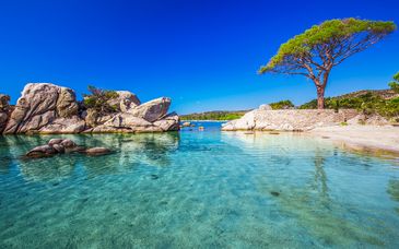 Résidence Odalys Les Voiles Blanches