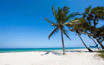 Papillon Lagoon Reef 4* ed eventuale safari