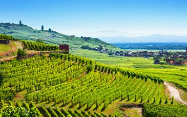 Tour in libertà in Alsazia di 3, 5, 6, o 7 notti