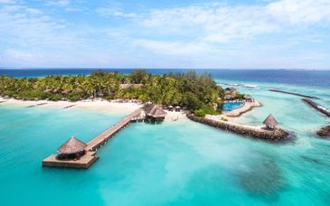 Taj Coral Reef Resort & Spa 5*