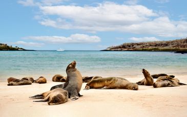 Tour di 10 notti l'essenziale dell'Ecuador con possibile crociera