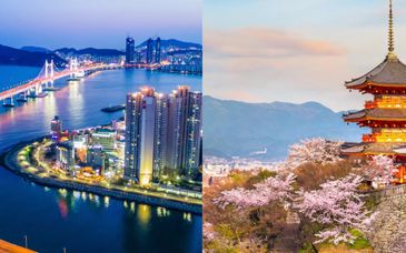 Soggiorno in libertà: Duo dell'Asia