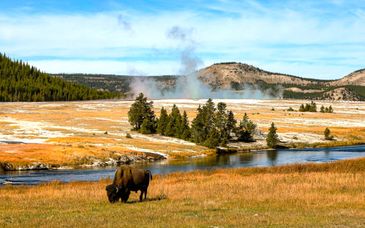 Autotour: Rockies & Yellowstone