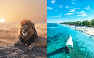 Safari a Karatu con estensione al Toa Hotel & Spa 5*