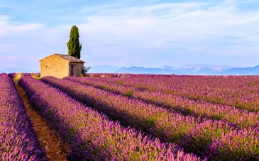 Hotel Mercure Aix-en-Provence Beaumanoir 4* e Hotel Villa Borghese 4*