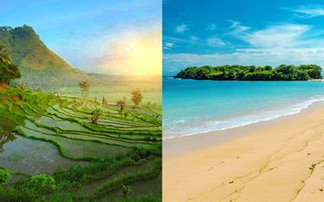 Tour di Bali: Ubud, Lovina, Candidasa e mare a Nusa Dua