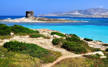 Cala Rosa Club Hotel 4*