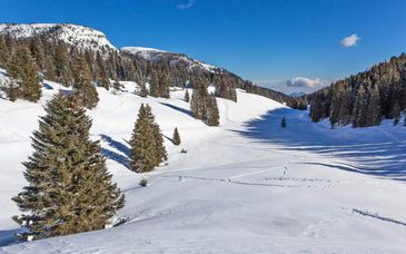 Alpine Smart Residence