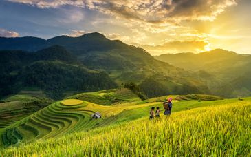 Tour del Vietnam con possibile estensione a Siem Reap