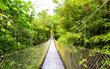 Autotour di 8 notti in Costa Rica: da San José a Tamarindo