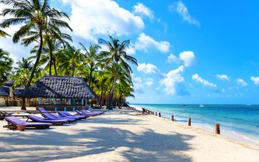 Sandies Tropical Village 4* con safari inclusi