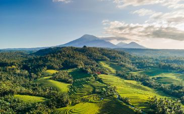 9-16 night tour: Exploring Bali