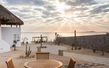 8-14 night tour: From Mexico to Baja California, Mexico reimagined