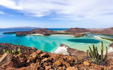 8-14 night tour: From Mexico to Baja California, Mexico reimagined