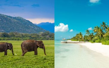 Duo: 5-9 night private tour of Sri Lanka & Royal Island Resort & Spa 5*