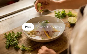 11-15 night private tour: Peruvian gastronomy and Inca traditions