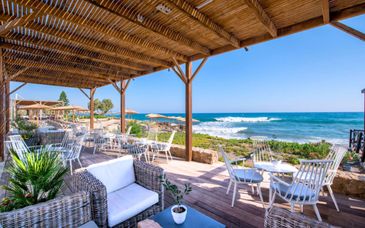 Cactus Bay 4*