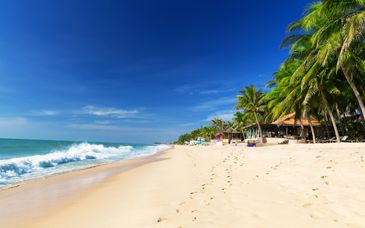 7 - 13 night tour: Sublime getaway in Vietnam