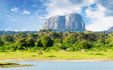 Private tour: Discover  Sri Lanka in 9 to 19 nights