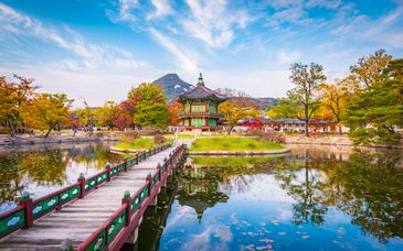 9, 13 or 17-night tour of South Korea