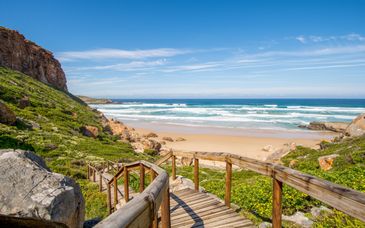 14 - 17 night road trip: Cape Town & the Garden Route 