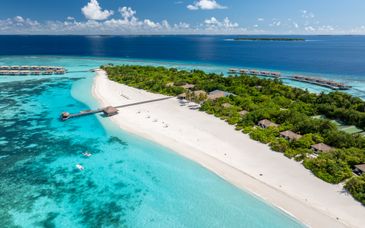 Noku Maldives, Vignette Collection 5*