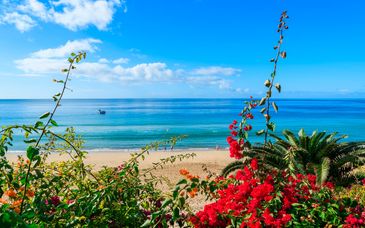 Labranda Cactus Garden 4*