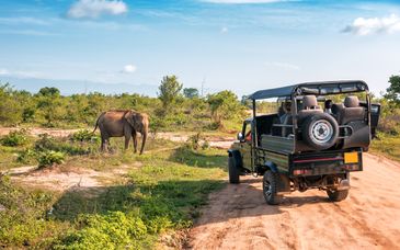 Discover Sri Lanka Tour in 9 or 11 Nights