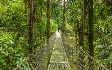 Costa Rica Tropical Adventure