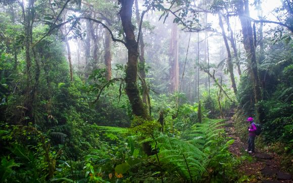 Ihre Reise im Detail