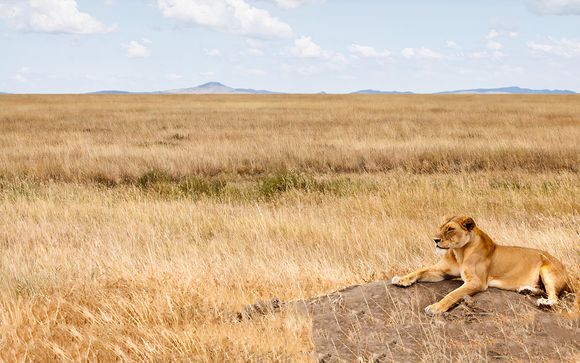 Ihre Safari im Überblick