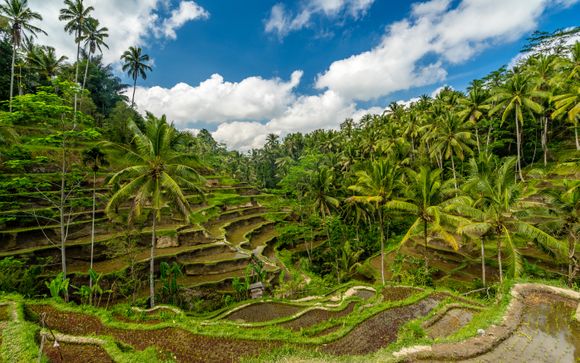 Willkommen in Indonesien!